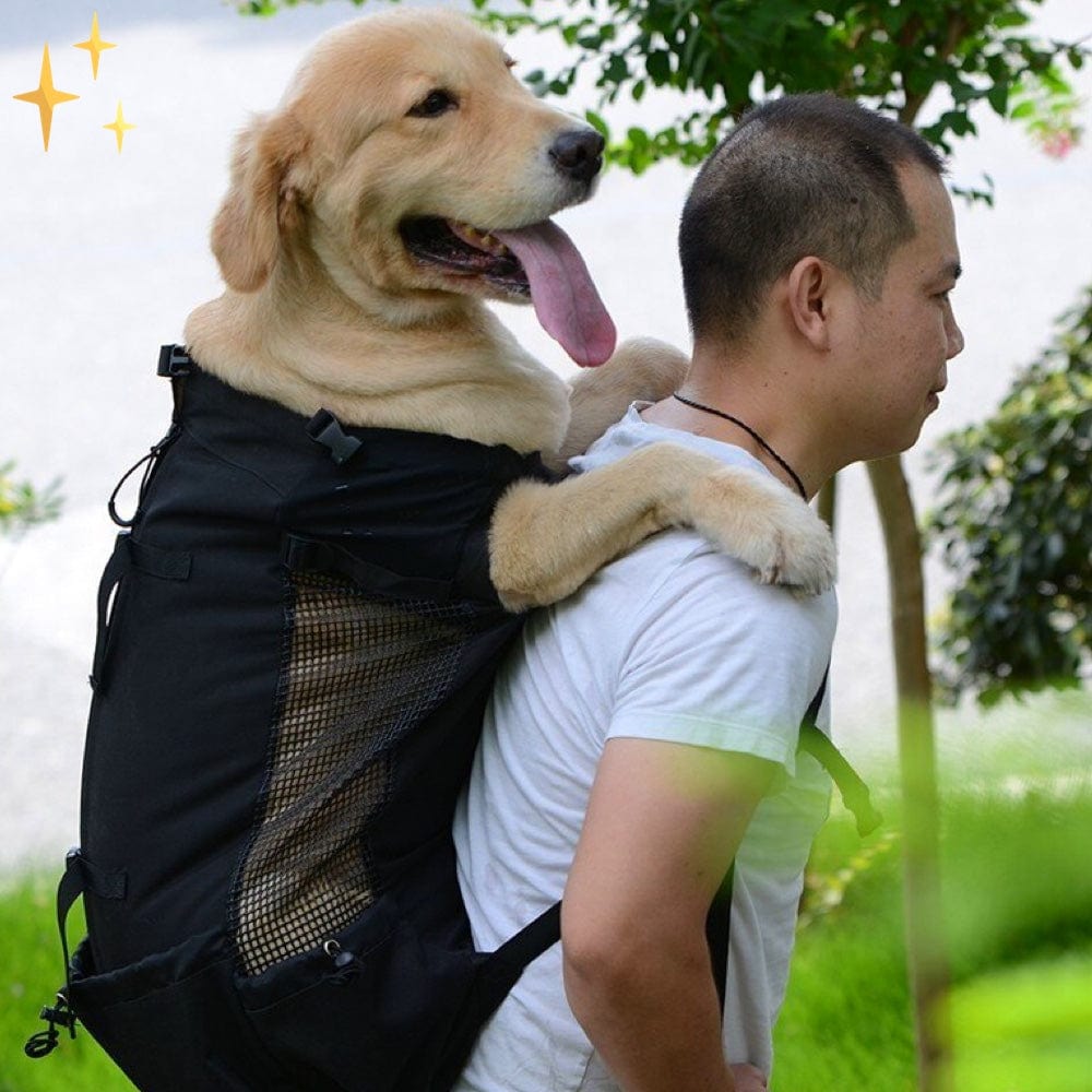 Mirabella Shopping DE 0 50% RABATT / Schwarz / 30X34X16 CM Der DoggiePack™ Hunderucksack | Der beste Weg, Ihr geliebtes Haustier zu transportieren