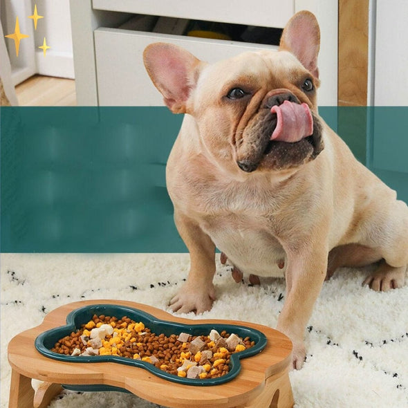 Mirabella Shopping DE 200003781 DESIGNPet™ Keramik-Futternapf für Hunde und Katzen | Das beste bewährte Design für die Gesundheit Ihres Haustiers