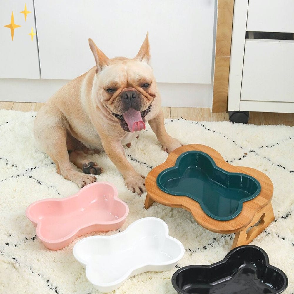 Mirabella Shopping DE 200003781 DESIGNPet™ Keramik-Futternapf für Hunde und Katzen | Das beste bewährte Design für die Gesundheit Ihres Haustiers