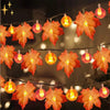 Mirabella Shopping DE 200220143 50% RABATT / 6 meter - 40 Lichter Die AutumnLights™ | bringen eine wunderbare warme Herbstatmosphäre in Ihr Zuhause