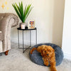 Mirabile Shopping DE 200003745 Dunkelgrau / 40 cm Safe&Warm™ Donut-Bett für Haustiere | Ein herrlich warmes und sicheres Gefühl für Ihr Haustier