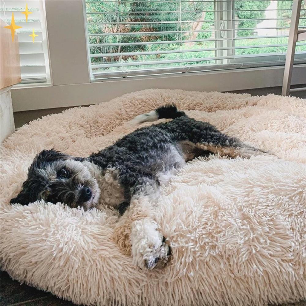Mirabile Shopping DE 200003745 Safe&Warm™ Donut-Bett für Haustiere | Ein herrlich warmes und sicheres Gefühl für Ihr Haustier